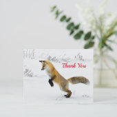 Fox Leaping Snow Foto Vielen Dank Postkarte (Stehend Vorderseite)