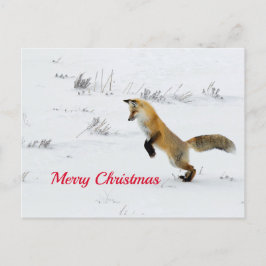 Fox Leaping Snow Foto Weihnachten Postkarte