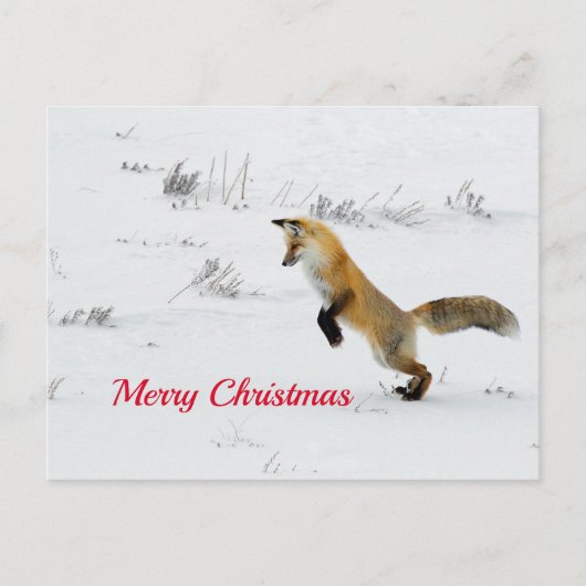 Fox Leaping Snow Foto Weihnachten Postkarte (Vorderseite)