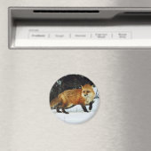 Fox Magnet (In Situ (Geschirrspüler))