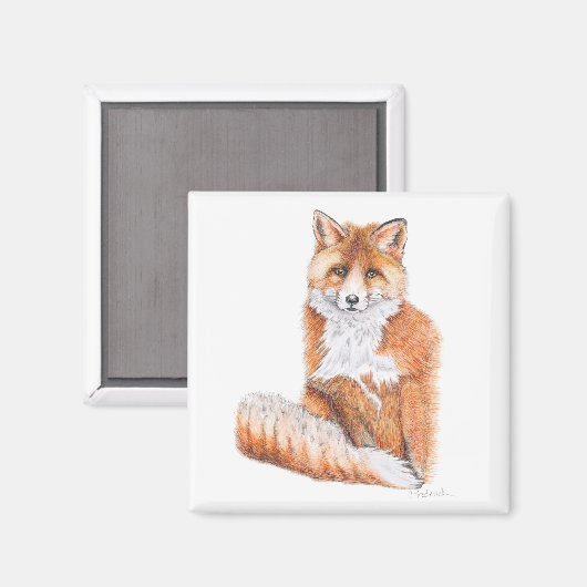 Fox Magnet (Vorderseite/Rückseite)