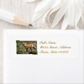 Fox-Mailing-Labels (Insitu)