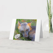 Fox mit Attitude Card Karte (Vorderseite)