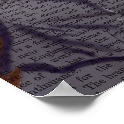 Fox mit Flute Poster (Ecke)