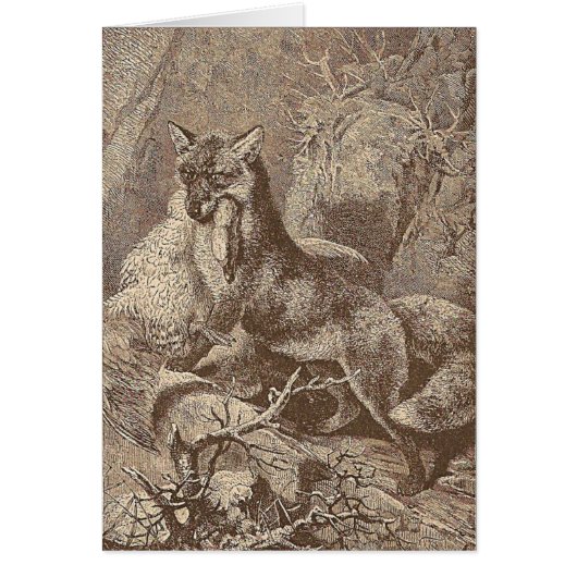 Fox mit seinem Tod (Vorne)