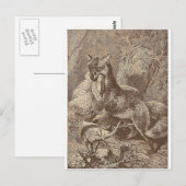 Fox mit seinem Tod Postkarte (Vorne/Hinten)