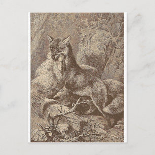 Fox mit seinem Tod Postkarte