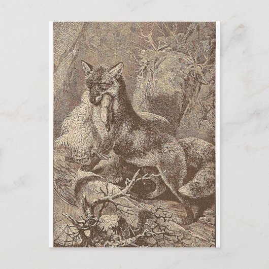 Fox mit seinem Tod Postkarte (Vorderseite)