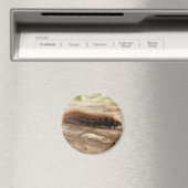 Fox Moth Raupe Magnet (In Situ (Geschirrspüler))