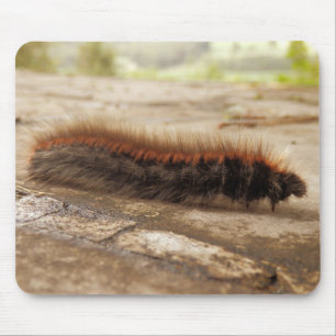 Fox Moth Raupe Mouse Mat Mousepad