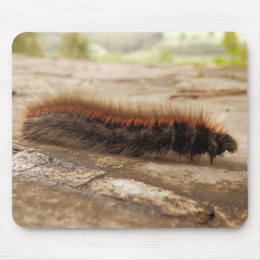 Fox Moth Raupe Mouse Mat Mousepad (Vorne)