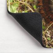 Fox Moth Raupe Mouse Mat Mousepad (Ecke)