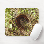 Fox Moth Raupe Mouse Mat Mousepad (Mit Mouse)