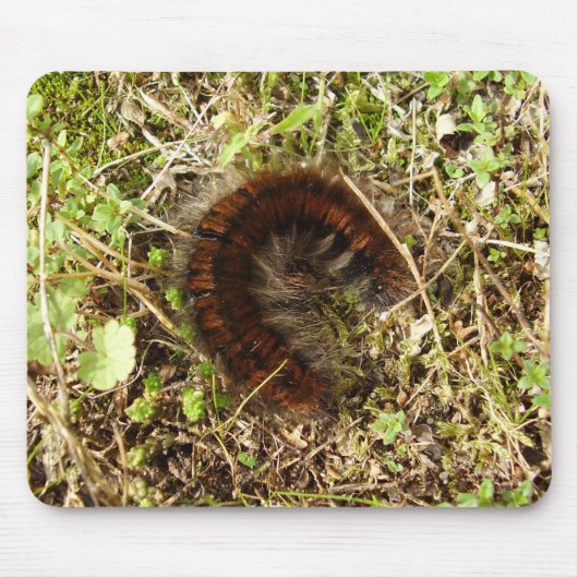 Fox Moth Raupe Mouse Mat Mousepad (Vorne)