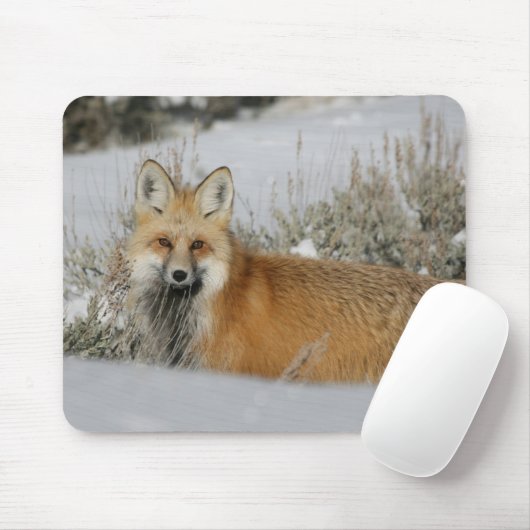 Fox Mousepad (Mit Mouse)