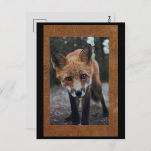 Fox Nah up Postcross Postcard Postkarte (Vorne/Hinten)