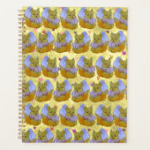 Fox named Dice Planer (Vorderseite)