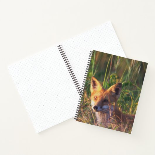 Fox Notebook Notizblock (Innenseite)