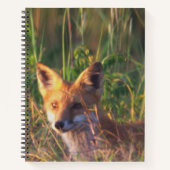 Fox Notebook Notizblock (Vorderseite)