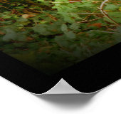 Fox on Golden Path Poster ~ Fantasy (Ecke)