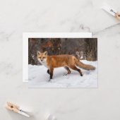 Fox on Snow Christmas Card Karte (Vorderseite/Rückseite Beispiel)