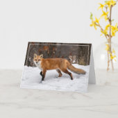 Fox on Snow Christmas Card Karte (Gelbe Blume)