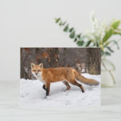 Fox on Snow Karte (Stehend Vorderseite)