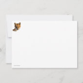 Fox on Snow Karte (Rückseite)