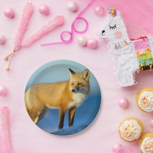 Fox Pappteller (Party)