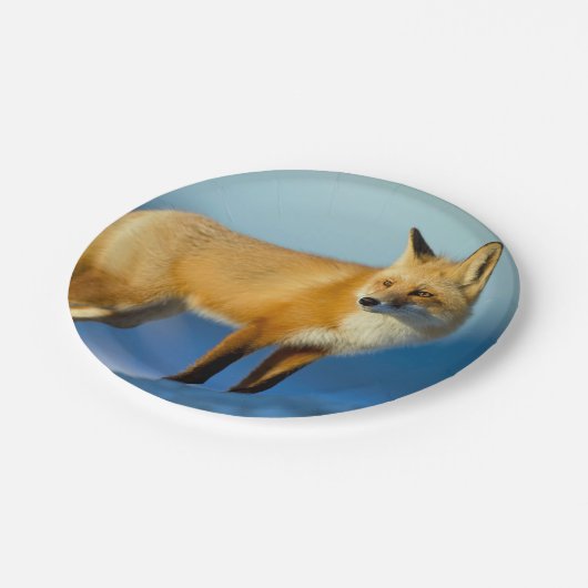 Fox Pappteller (Schrägansicht)