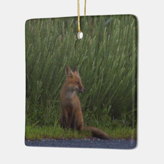 Fox Photo Ornament  (Links)