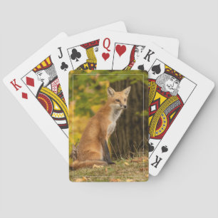 Fox Playing Cards beobachten Spielkarten