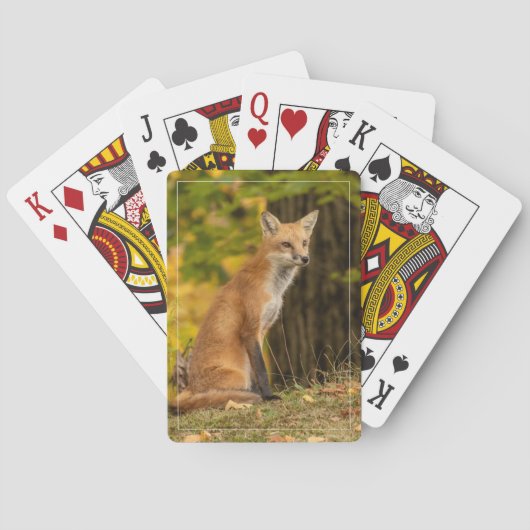 Fox Playing Cards beobachten Spielkarten (Rückseite)