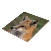 Fox Portrait Fliese (Seite)