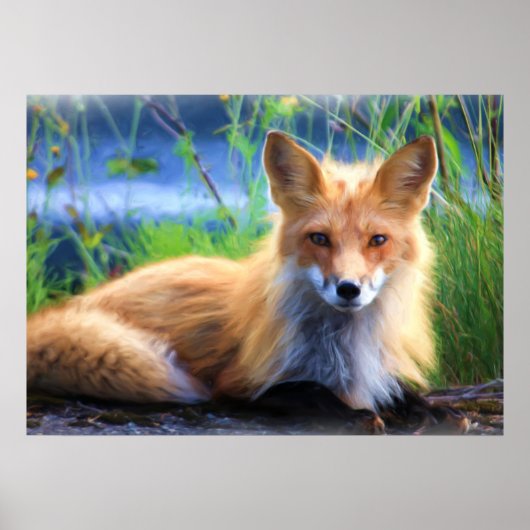 Fox Poster (Vorne)