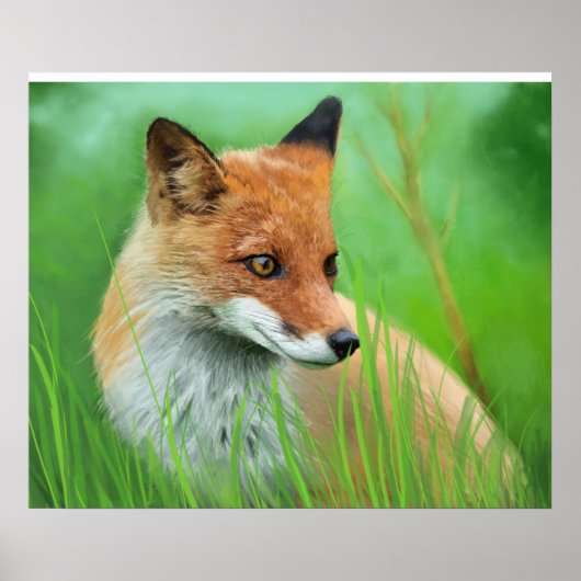 Fox - Poster (Vorne)