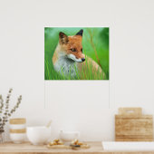 Fox - Poster (Küche)