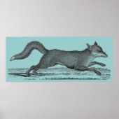 Fox Poster (Vorne)