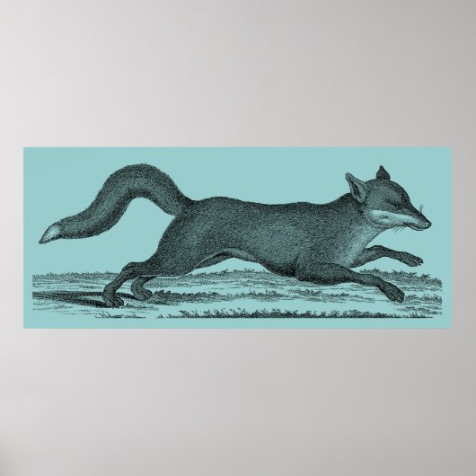 Fox Poster (Vorne)