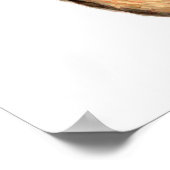 Fox-Poster Poster (Ecke)