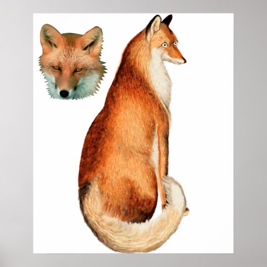 Fox-Poster Poster (Vorne)