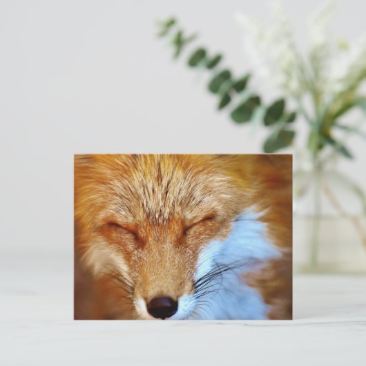 Fox Postkarte (Stehend Vorderseite)