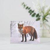 Fox Postkarte (Stehend Vorderseite)