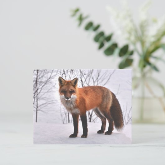 Fox Postkarte (Stehend Vorderseite)