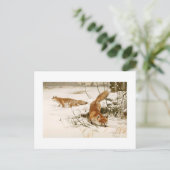 Fox Postkarte (Stehend Vorderseite)