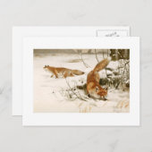 Fox Postkarte (Vorne/Hinten)