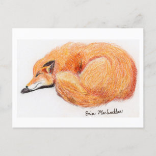 Fox-Postkarte Postkarte
