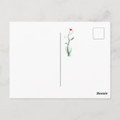 Fox-Postkarte Postkarte (Rückseite)