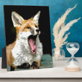 Fox - pro-Foto Fotoplatte (Seite)