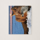 Fox Puzzle (Vertikal)